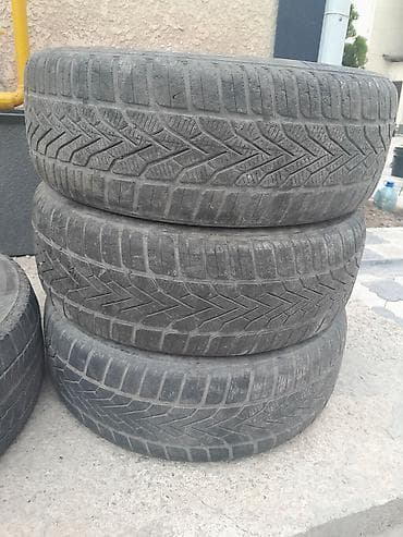 шины 215: Шины — 1