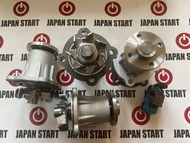 где купить саженцы гортензии в бишкеке: Помпа Toyota Новый — 3