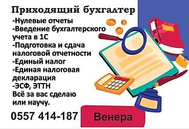 заполнение анкеты: Бухгалтерские услуги | Подготовка налоговой отчетности, Сдача налоговой отчетности, Консультация — 1