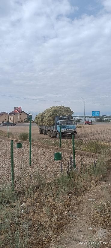 Грузовик, Камаз, Стандарт