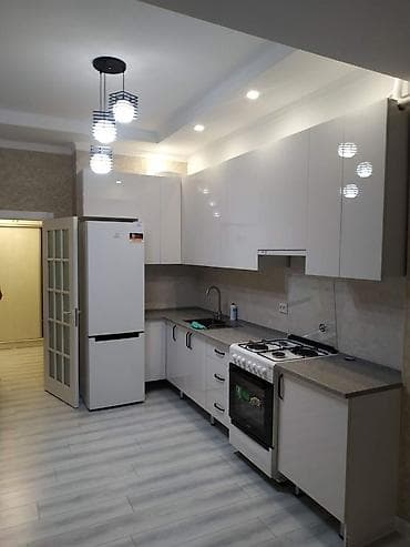 2 room flat: 2 комнаты, 66 м², Элитка, 1 этаж, Косметический ремонт — 1