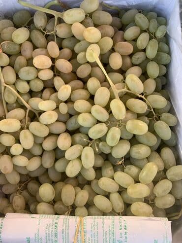 мила оптом: Мандарины — 4