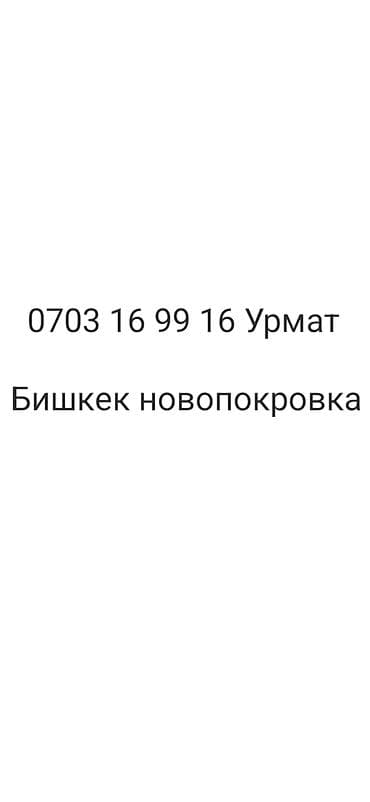 куры живые: Продаю | Овца (самка) | Для разведения | Матка — 8