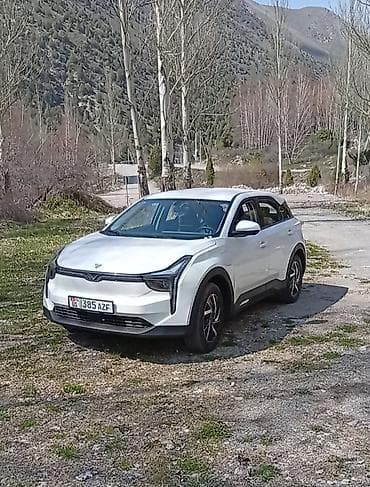 только продажа: BAW : 2022 г., 0.1 л, Вариатор, Электромобиль, Кроссовер — 4