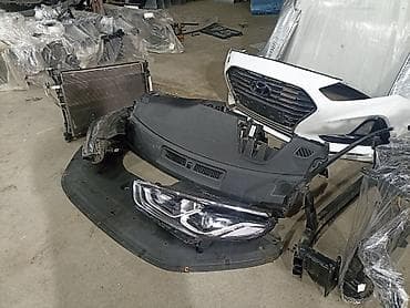 самурай купить: Соната нурайс целый морда 2018-19 — 3