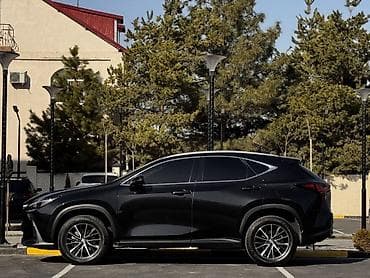 lexus aristo: Lexus NX: 2023 г., 2.4 л, Автомат, Бензин, Кроссовер — 5