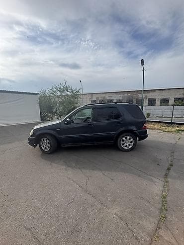m класс: Mercedes-Benz ML-Class: 2002 г., 2.7 л, Автомат, Дизель, Кроссовер — 9
