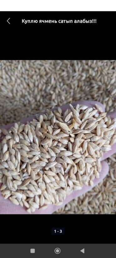 белый мёд: Отруби 22сом 3в1жем 26сом ячмень кукуруза пшеница 2в1 кукуруза — 3