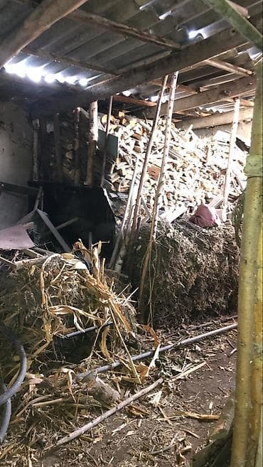 купит дом кара балта: Дом, 85 м², 4 комнаты, Собственник, Старый ремонт — 9