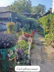 ишу земельный дом кок жар: 4 соток, Для бизнеса, Красная книга, Тех паспорт — 11