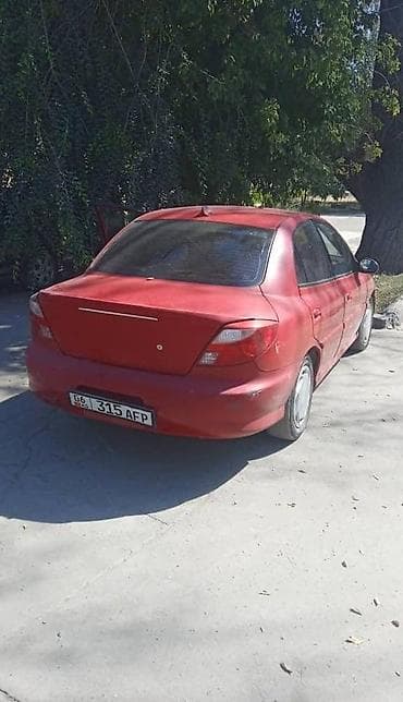 кызыл кия кыз: Kia Rio: 2004 г., 1.5 л, Кол менен иштөөчү, Бензин — 1