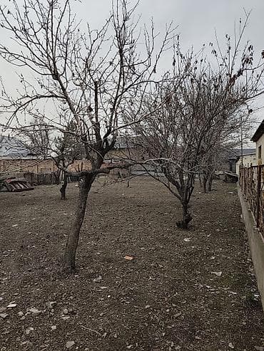 premium development: 10 соток, Для строительства, Красная книга — 3