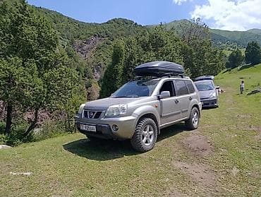 Nissan X-Trail: 2001 г., 2 л, Автомат, Бензин, Кроссовер