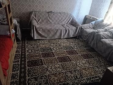 дома баят: 2 кыз керек мени менен чогу жашаганга — 1