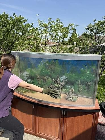тумба под аквариум: Аквариум с тумбой, панорамное (изогнутое) переднее стекло. - Большой — 3