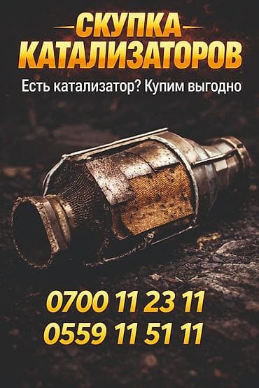 Скупка и переработка: Катализатор алабыз, Катализатор, Скупка катализаторов Бишкек, Скупка — 1