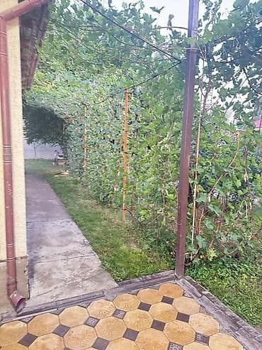 Полки, стеллажи: Навес, Арочный, Металл, Поликарбонат — 3