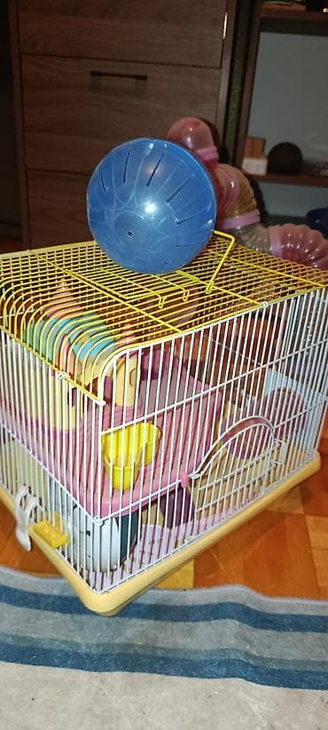 капкан для мыши: Клетка для джунгариков/хомяков с игровым модулем и лабиринтами — 1