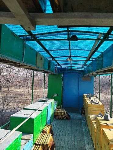 тез арада: Передвижная платформа на 38 ульев, 12-ти рамочных, дадан, тракторный — 7