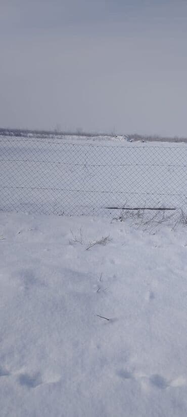 участок алга: 15 соток, Для строительства — 1