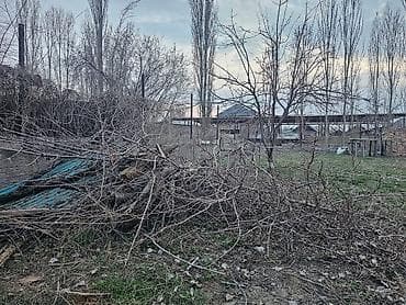 Уголь: Дрова — 3