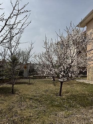 коттедж с бассейном: Продаётся двухэтажный коттедж с мансардой в ЦО «Кесар» (город — 4