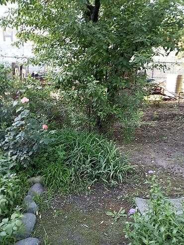 Недвижимость: Продаю дом с.Ниж.Аларча (Свердловский район г.Бишкек) на первой линии — 4