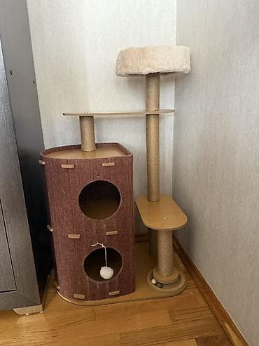 кошка рэгдолл цена: Игровой комплекс для кошек с домиком и лежанкой - Габариты: 40 см — 3