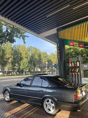 туманики 210: BMW 5 series: 1995 г. — 5