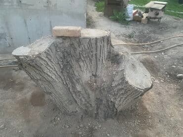 купить шкаф для папок в офис: Орешина 
Отдадим за приемлемую цену — 2