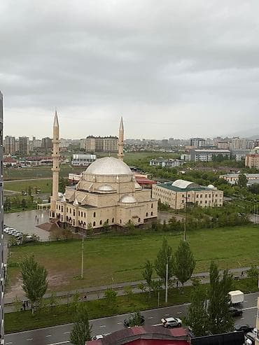 покупаю дом: 3 комнаты, 100 м², 106 серия, 13 этаж, Евроремонт — 3