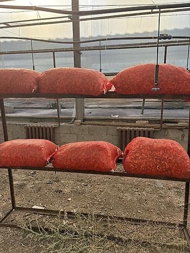 сухофрукты компот: Сушёные яблоки (дольки) для компота - Натуральные яблоки, нарезанные — 2