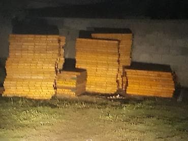 Сейфтер: Арена леса — 3