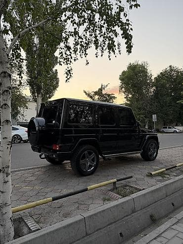 210 mers: Mercedes-Benz G-Class: 2001 г., 5 л, Автомат, Бензин, Внедорожник — 7