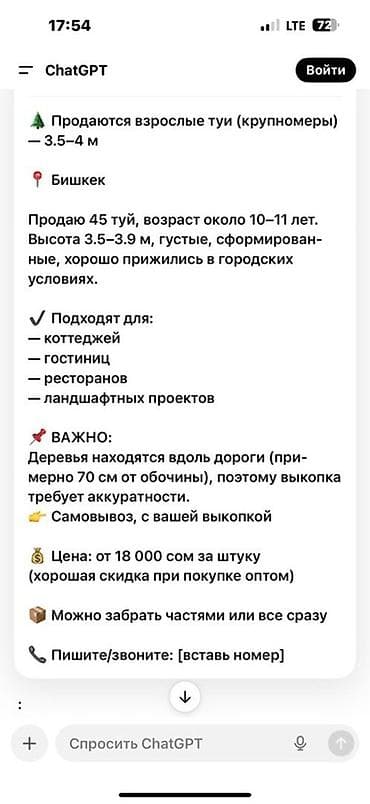 тактай лес: Взрослые туи (крупномеры) — высота 3.5–4 м Локация: Бишкек Описание — 1