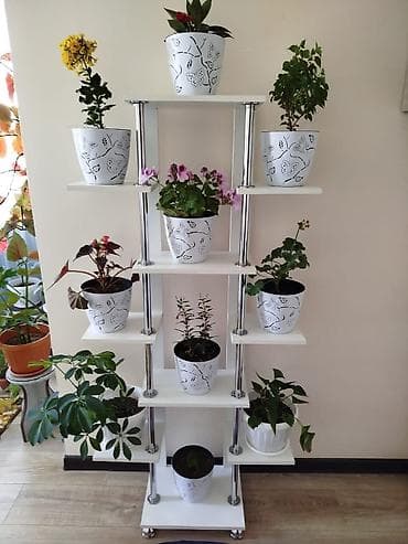 полки напольные: Полка, этажерка для цветов, Новый, ЛДСП — 5