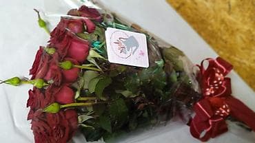 купить комнатные цветы в бишкеке: Букеты 51 роза — 3