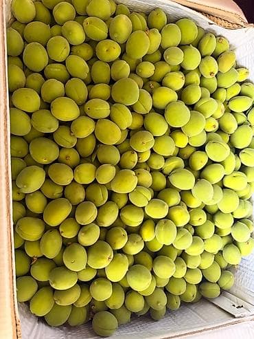 цена на вишню: Чалбагыла все равно жооп бербейм ЖАЗГЫЛА ВОТСАП конец сезона ‼️ көк — 6