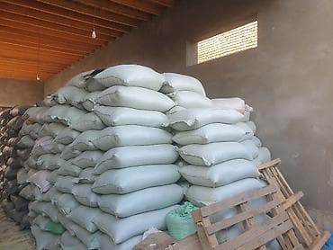 Кукуруза зерно, фасованная в мешки - Зерно кукурузы кормовое/крупяное