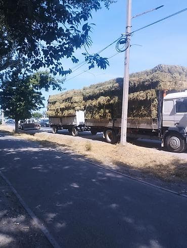 живой корм: Продаю Сено клевер чистый 1 курс тюки не маленькие в наличии 520 шт — 1