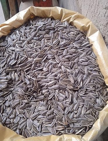 буудай ун: Семичка жареный только оптом Любой количество бар ноокат ичинде — 2