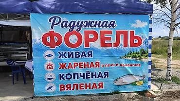 Рыбы: 🐟 Свежая и запечённая форель на Иссык-Куле! Предлагаем вкусную — 1