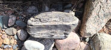 декоративные камушки: Декор для дома и сада, Декоративные камни — 9