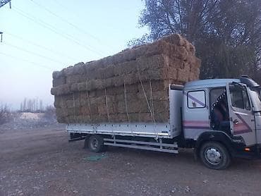 ремонт ходовая: Грузовик, Mercedes-Benz, Стандарт — 7