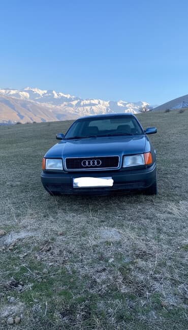 глушитель на опель зафира а: Audi 100: 1991 г., 2.3 л, Механика, Бензиновая, Седан — 3