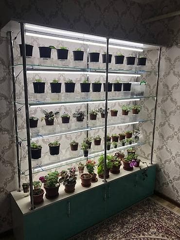 Комплекты столов и стульев: Другая мебель — 1