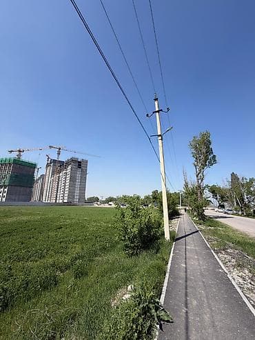 Недвижимость: 226 соток — 2