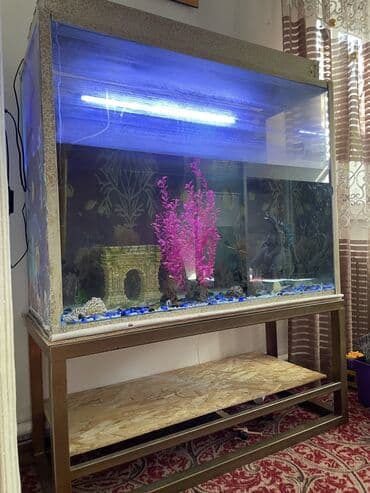 умный аквариум: Срочно продаю аквариум🐟 500 литров В комплекте идет — 2