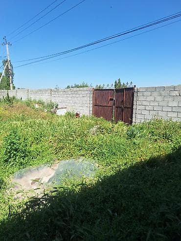 участка тендик: 5 соток, Для строительства, Красная книга, Договор купли-продажи, Тех паспорт — 4