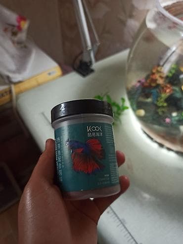 Аквариумы: Аквариумный комплект для бойцовой рыбки (Betta) Состав: - Круглый — 4